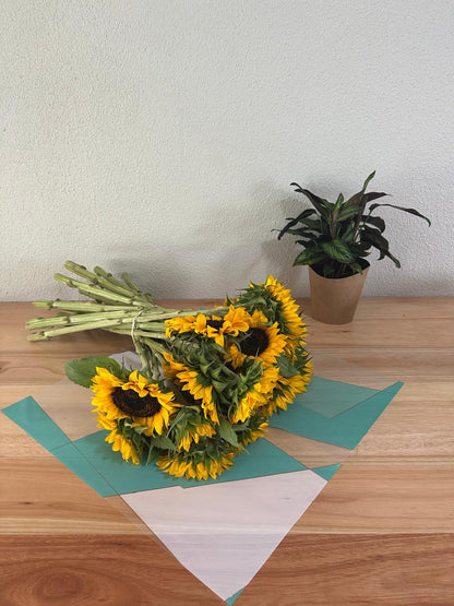 Emballage de fleurs en cellophane : bordure dorée bicolore verte et blanche (paquet de 20)