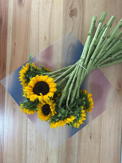 Emballage cellophane pour fleurs : mélange rose poudré et bleu foncé (paquet de 20)